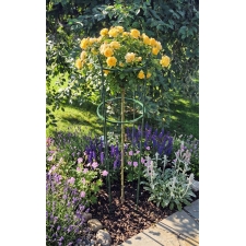 Podpora do ogrodu dla róż i nie tylko